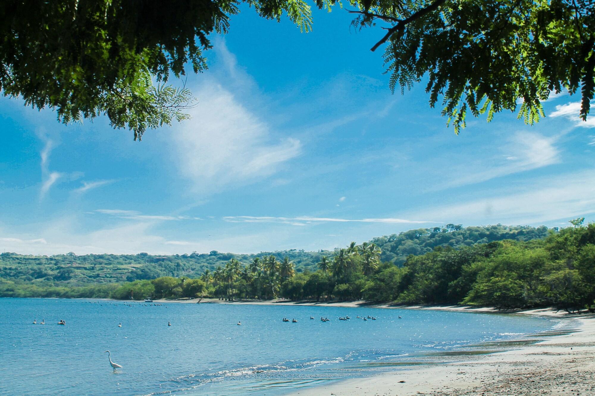 Papagayo Golden Palms Beachfront Hotel Panamá Eksteriør billede