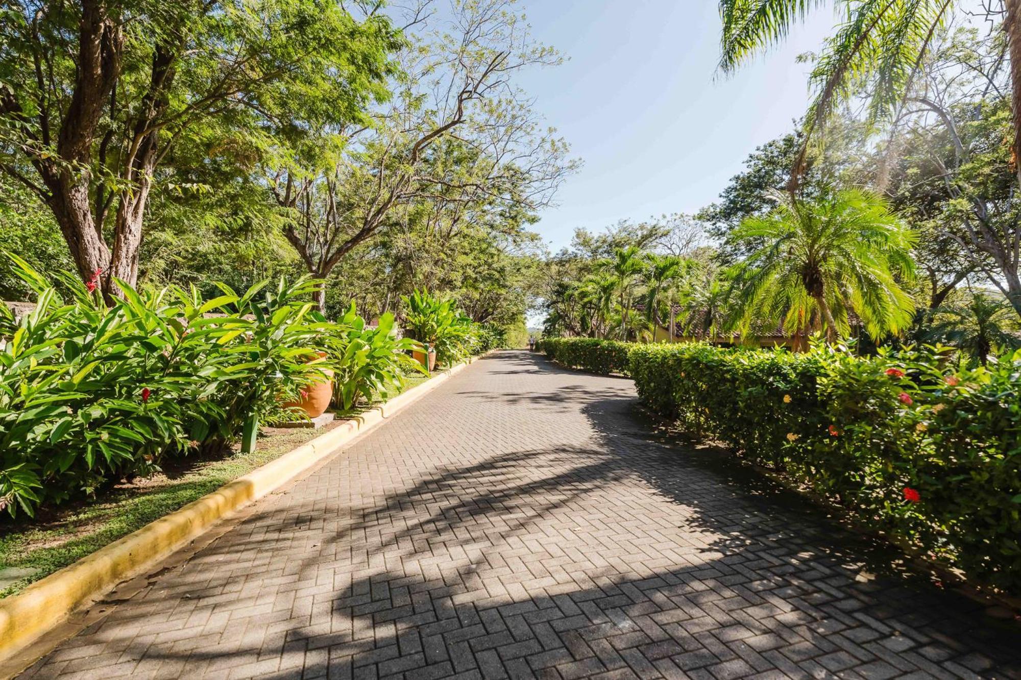 Papagayo Golden Palms Beachfront Hotel Panamá Eksteriør billede